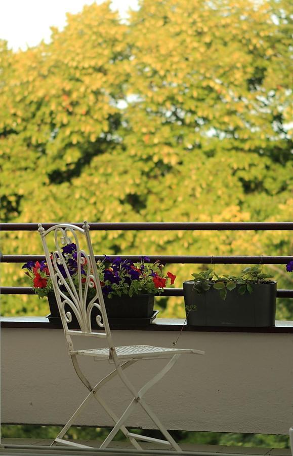 Apartma V Srdci Podebrad Poděbrady エクステリア 写真