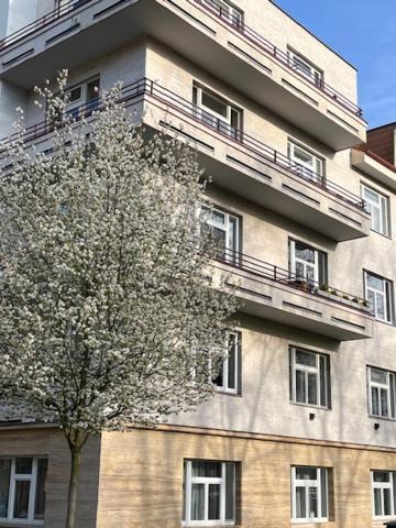 Apartma V Srdci Podebrad Poděbrady エクステリア 写真